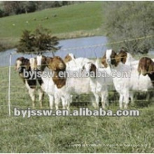 Woven Wire Sheep Fence